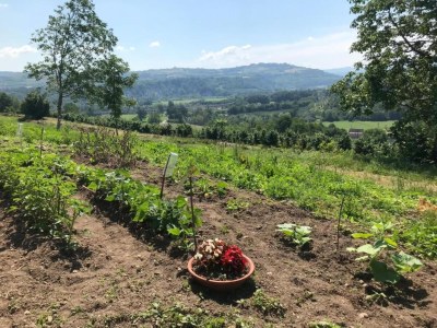 Cottage Holiday Home in Langhe with Pool and Terrace - Environment photo 27