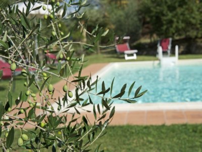 Holiday house Holiday house with private pool - Outdoor photo 8