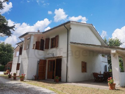 Holiday house Holiday house near Pisa with private pool - Outdoor photo 4