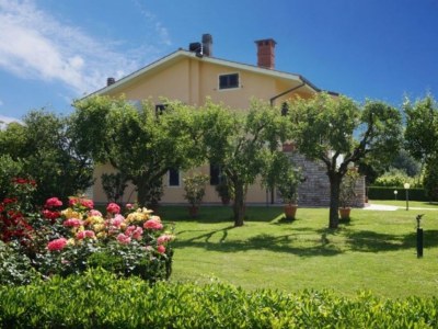 Holiday house Holiday house near Lucca with private pool - Outdoor photo 11