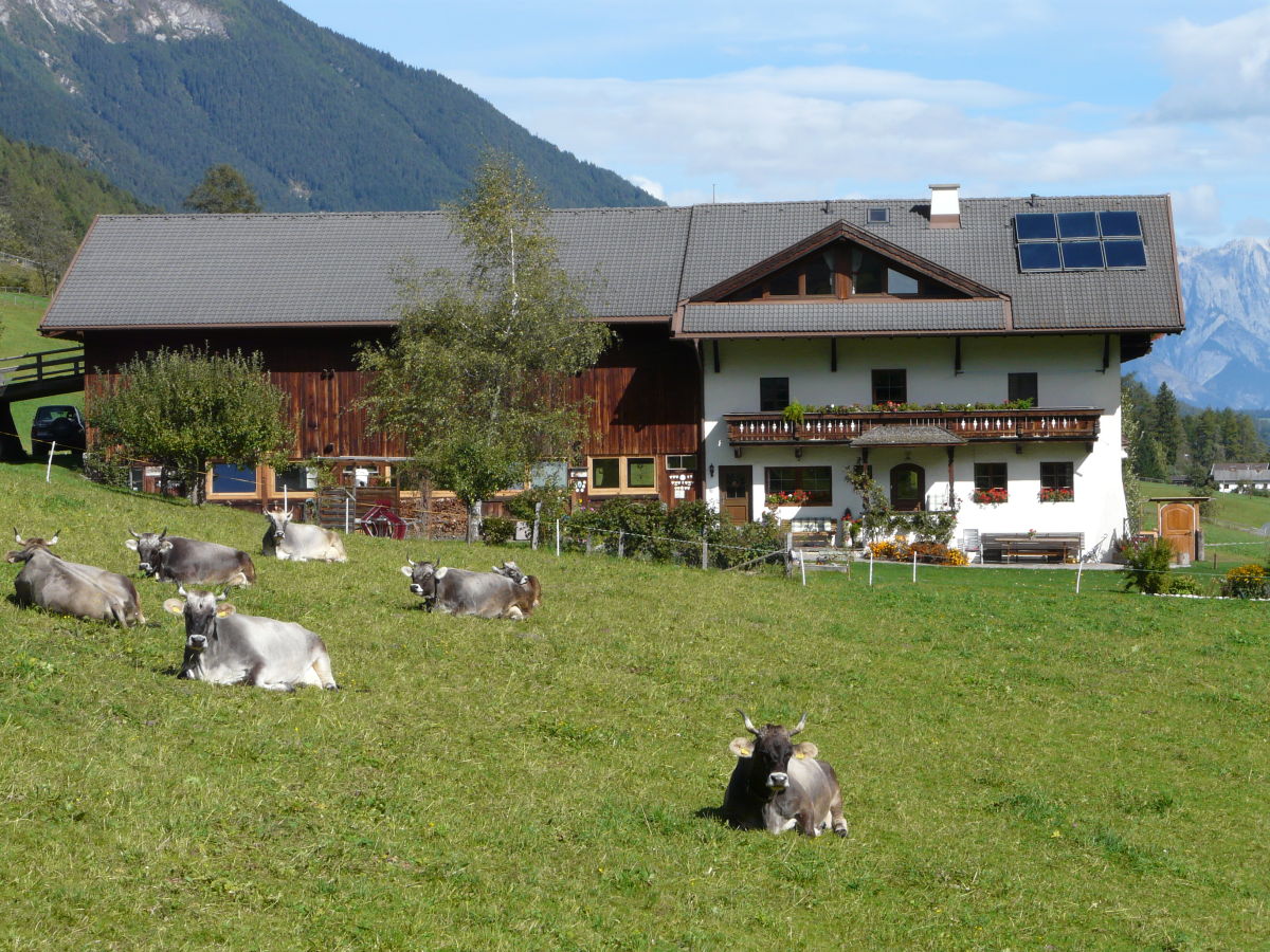 Holiday apartment Musterhof - Outdoor photo 3