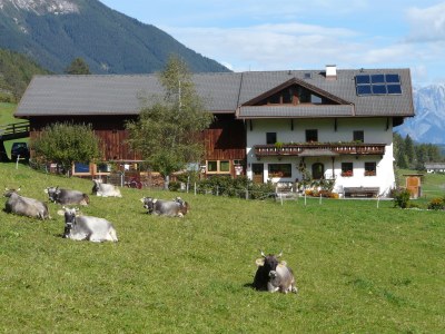 Holiday apartment Musterhof - Outdoor photo 3