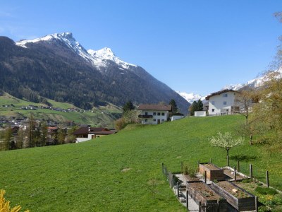 Holiday apartment Musterhof - Outdoor photo 10