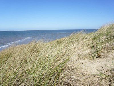 Holiday house Strandslag 320 - Environment photo 24
