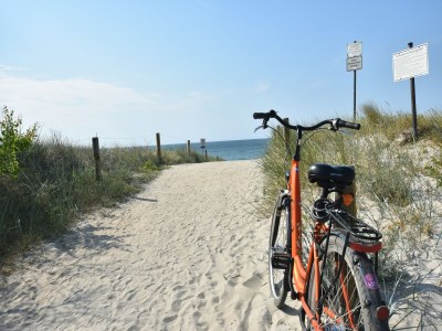 Holiday house Ruhiges Ferienhaus in Zingst–Urlaub nahe am Strand - Environment photo 29