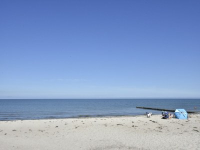 Holiday house Ruhiges Ferienhaus in Zingst–Urlaub nahe am Strand - Environment photo 30