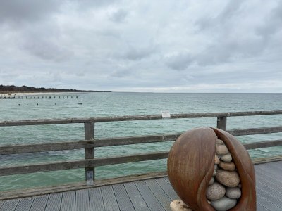 Holiday house Ruhiges Ferienhaus in Zingst–Urlaub nahe am Strand - Environment photo 35