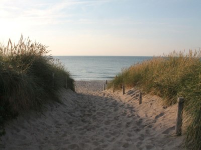 Holiday house Ruhiges Ferienhaus in Zingst–Urlaub nahe am Strand - Environment photo 37