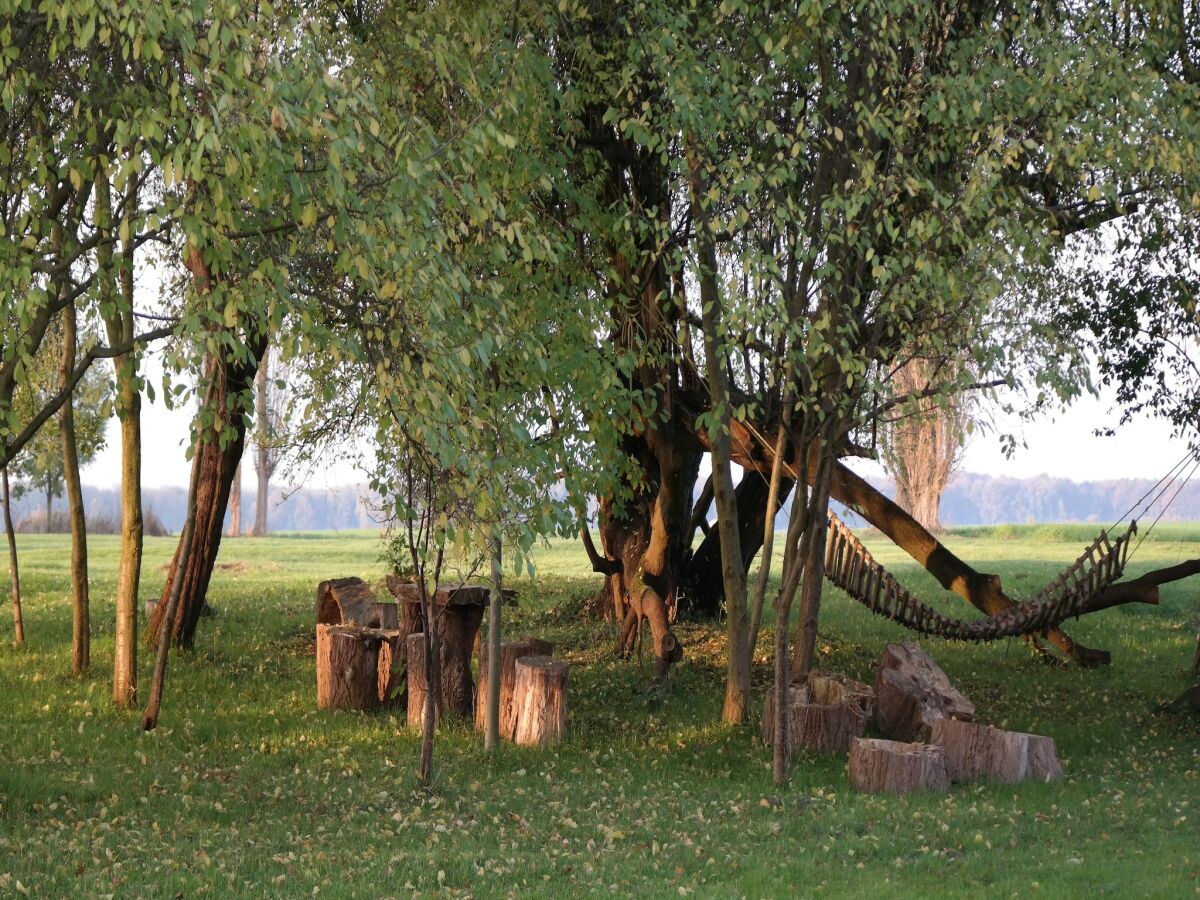 Apartment Luxuriöse Ferienwohnung in Boddin mit Garten - Outdoor photo 5