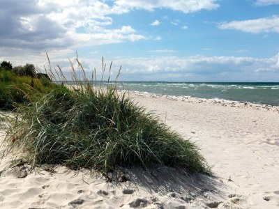 Apartment Kühlungsborn Beachside Haven - Environment photo 37
