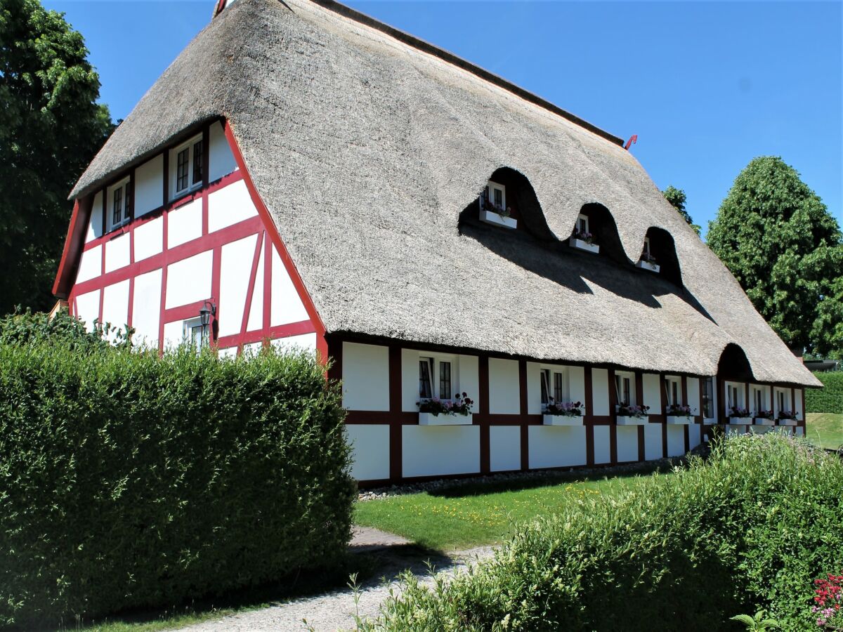 Apartment Geräumige Ferienwohnung mit Terrasse in Klütz - Outdoor photo 2