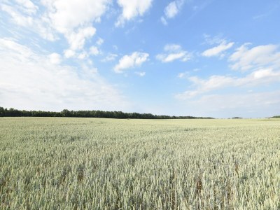 Apartment Komfortable Ferienwohnung in Strandnähe in Rerik - Environment photo 22