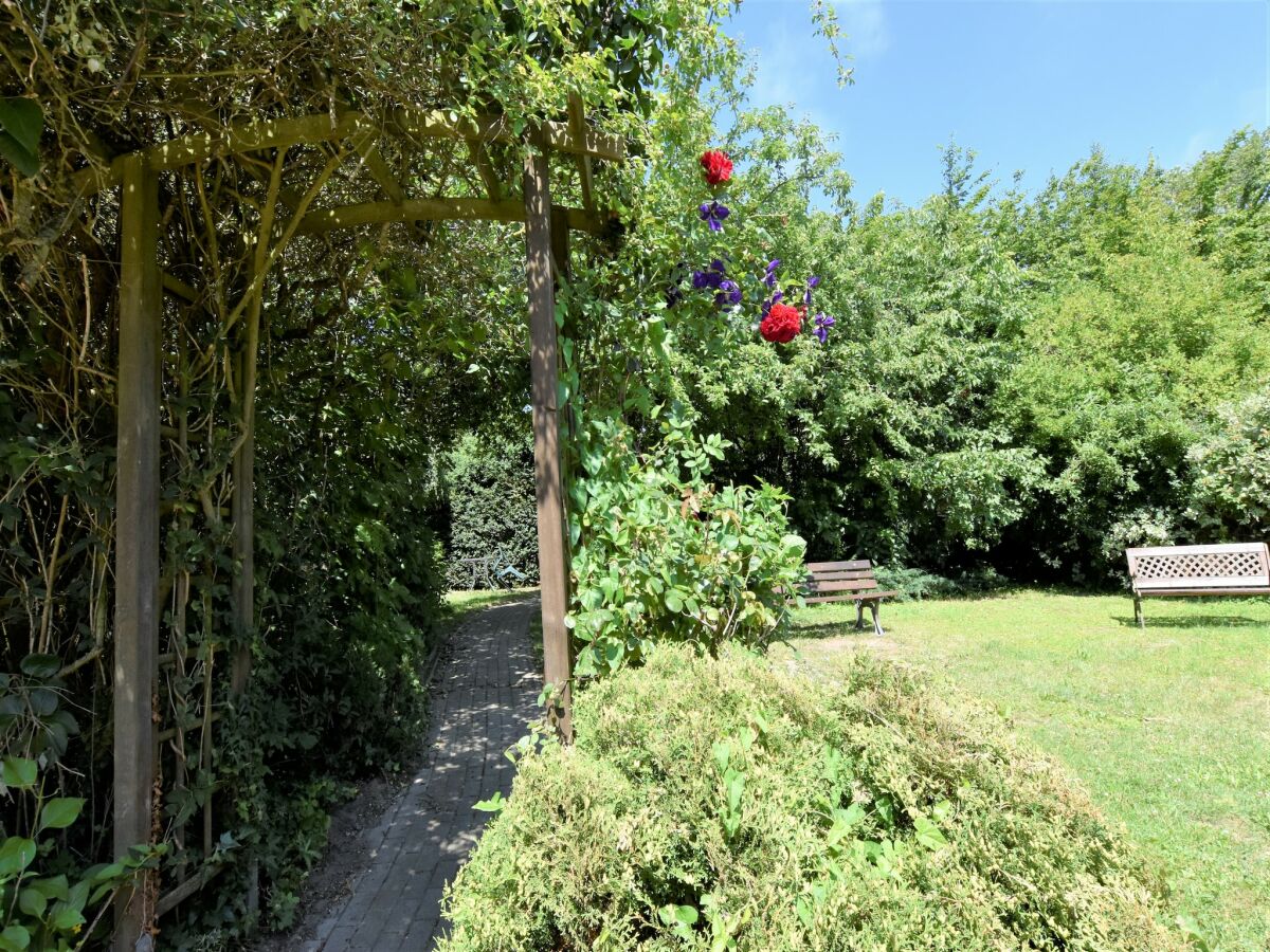 Apartment Wohnung in Rerik mit Meeresstrand - Outdoor photo 4