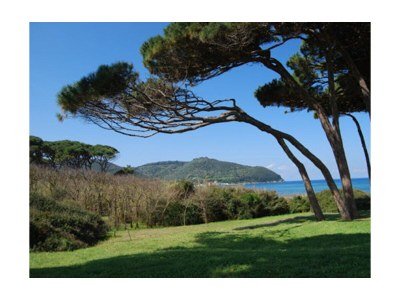 Holiday apartment La Querciolaia - Environment photo 21