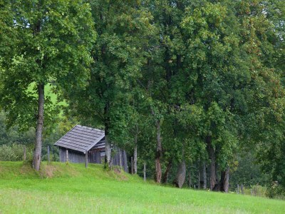 Apartment Apartment in Hollersbach near Ski Lift - Outdoor photo 12