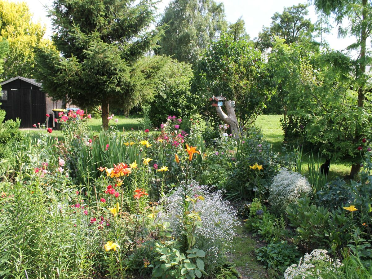 Apartment Gemütliche Ferienwohnung mit Garten in Walkendorf - Outdoor photo 4
