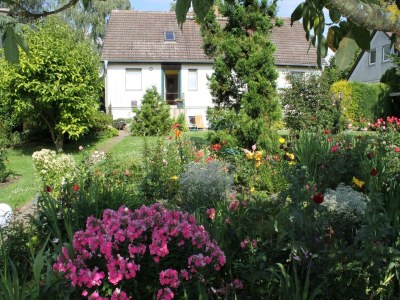 Apartment Gemütliche Ferienwohnung mit Garten in Walkendorf in Walkendorf - Apartment