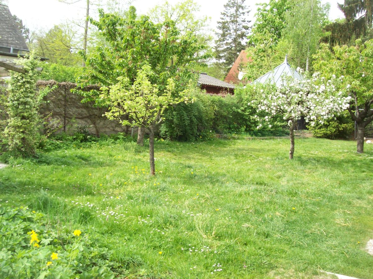 Holiday apartment Komfortferienwohnung - Outdoor photo 4