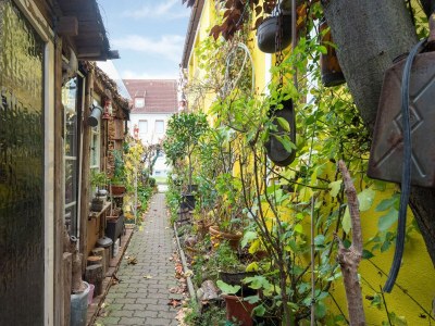 Apartment Charmante Ferienwohnung in Wismar mit Garten - Outdoor photo 12