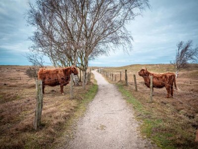 Apartment Charmante Ferienwohnung in Wismar am Hafen - Environment photo 38
