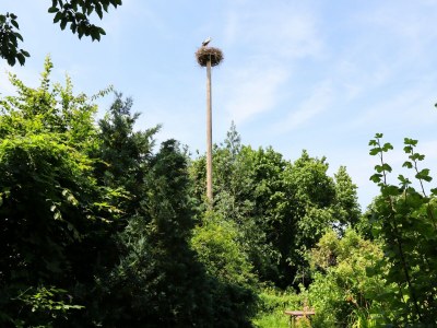 Apartment Ferienwohnung Parkblick mit 3 Schlafzimmern - Outdoor photo 2