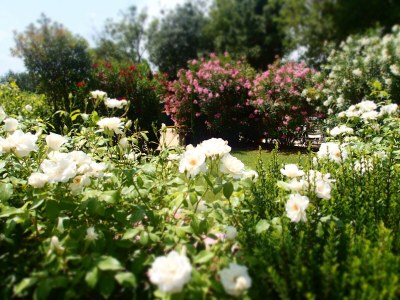 Holiday house Maussane - Le Paradou - Outdoor photo 13