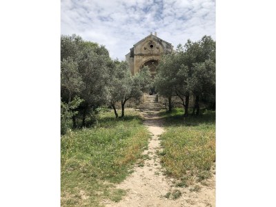 Holiday house Maussane - Le Paradou - Environment photo 36