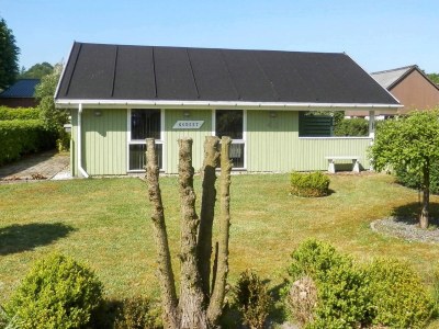Holiday house 4 person holiday home in Grindsted-By Traum - Outdoor photo 14