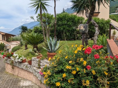 Holiday apartment Belvedere with pool - Outdoor photo 9