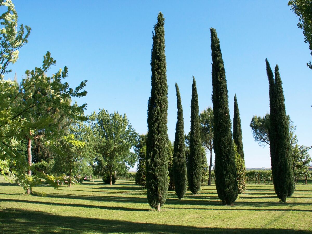 Holiday house Familienurlaub in der Emilia-Romagna - Outdoor photo 4