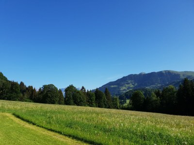 Holiday apartment De Martin - Outdoor photo 6