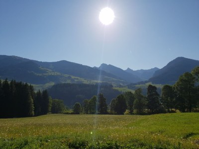 Holiday apartment De Martin - Outdoor photo 8