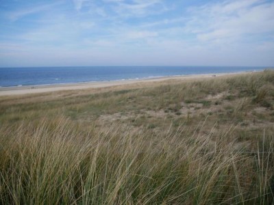 Apartment Wohnung in Bergen aan Zee am Strand - Environment photo 35