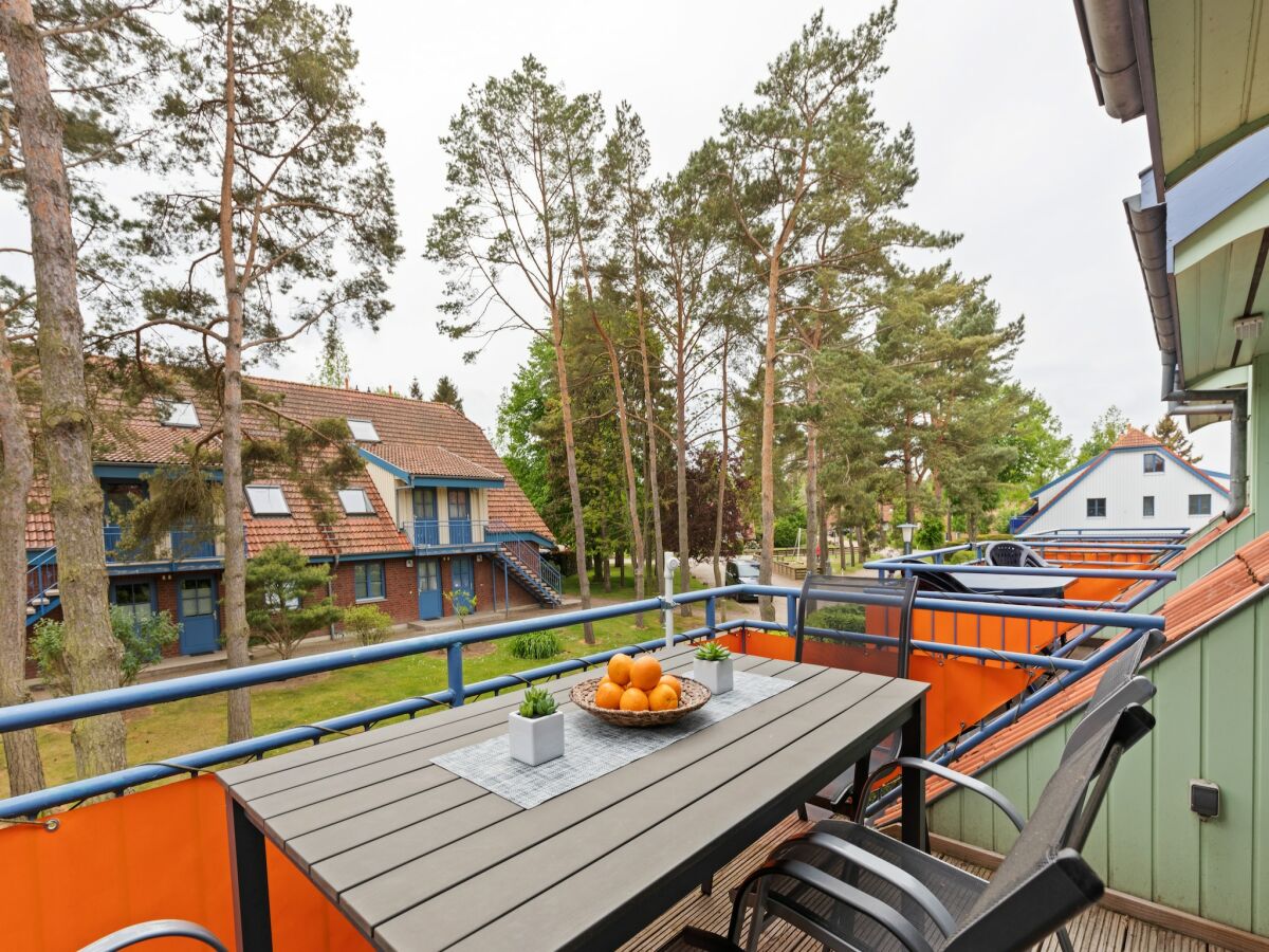 Apartment Großzügiges Apartment in Boltenhagen am Meer