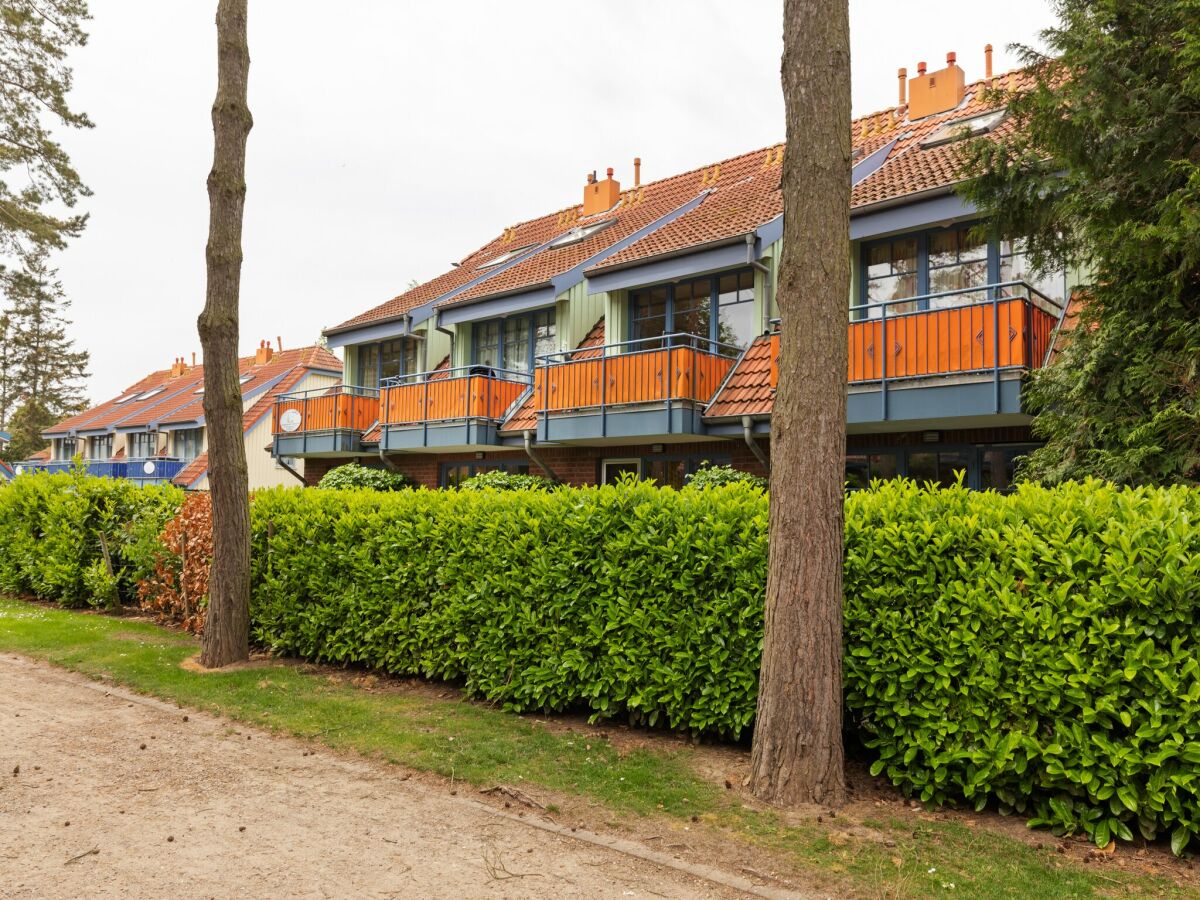 Apartment Großzügiges Apartment in Boltenhagen am Meer - Outdoor photo 3
