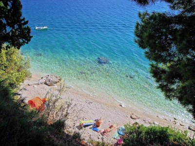 Holiday apartment Stone House Dalmatia Apt. 4 - Environment photo 16