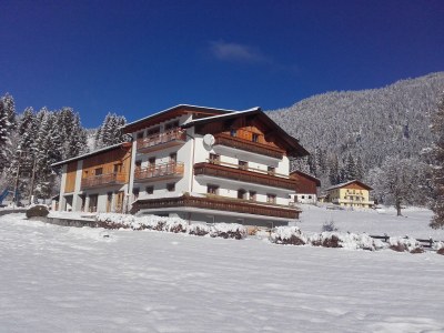 Holiday apartment Zwieselalm at Moosgut - Outdoor photo 3
