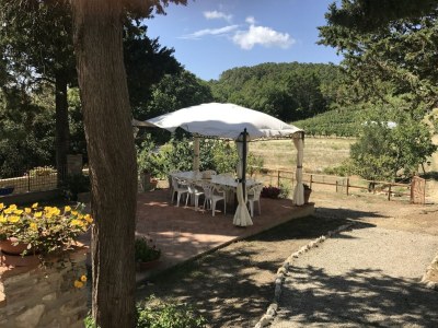 Holiday house Familienlandhaus in der Toskana - Outdoor photo 7