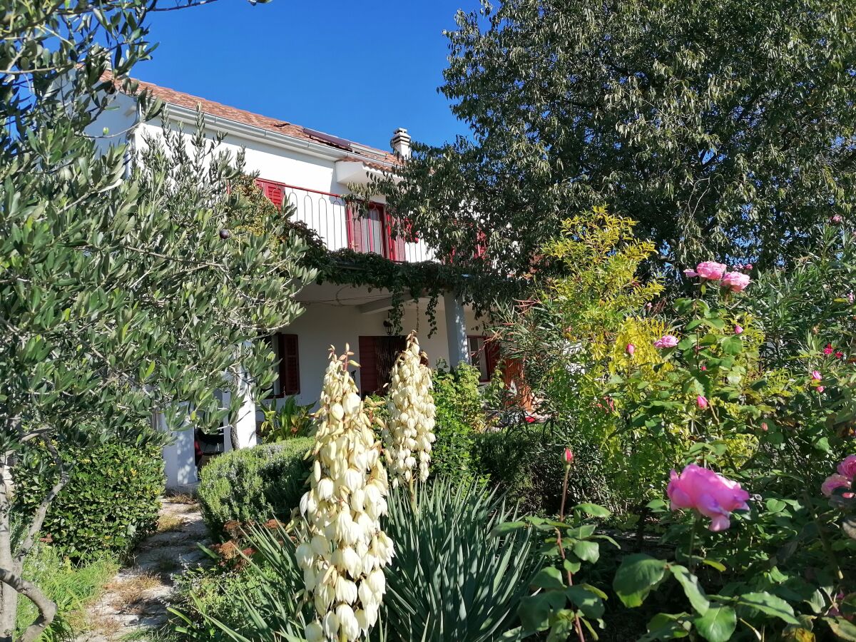 Holiday house Lastavica.