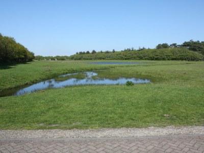 Holiday house HoogKoog 9 - Environment photo 17