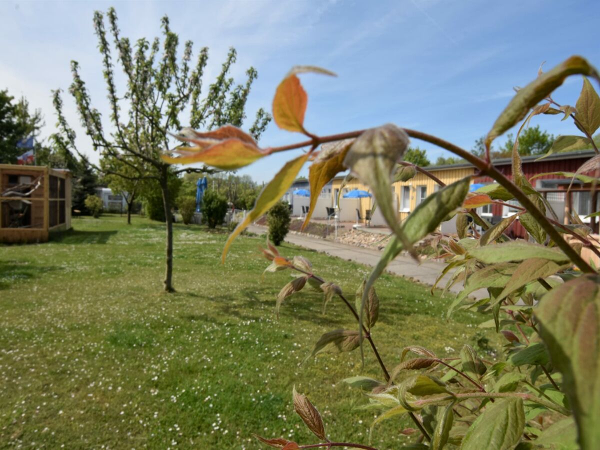 Apartment Wohnung in Wiek nahe Juliusruh Strand - Outdoor photo 3