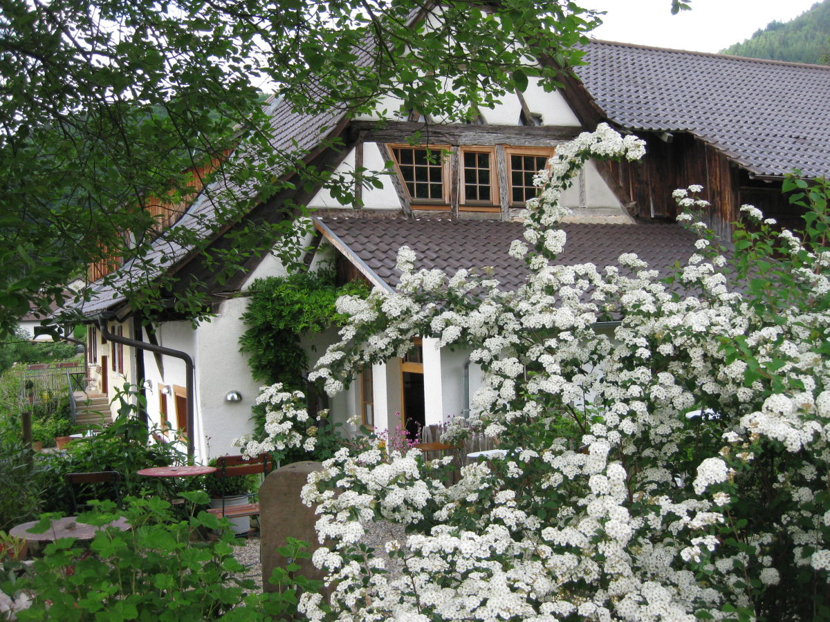 Holiday apartment Bienenkorb