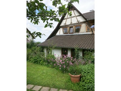 Holiday apartment Bienenkorb - Outdoor photo 10
