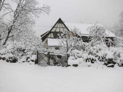 Holiday apartment Bienenkorb - Outdoor photo 15