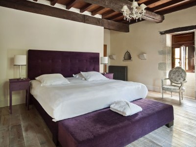 Castle Château in Nouvelle-Aquitaine with Pool & Views - Features photo 24