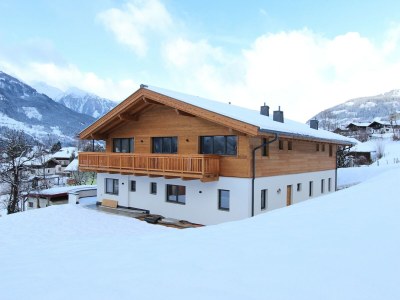 Apartment Apartment in Piesendorf near Ski Slopes - Outdoor photo 3