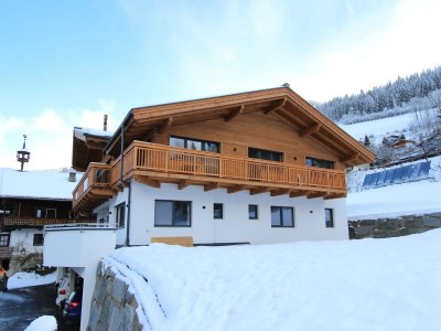 Apartment Apartment in Piesendorf near Ski Slopes - Outdoor photo 5