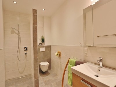 Apartment Apartment in Piesendorf near Ski Slopes - Features photo 12
