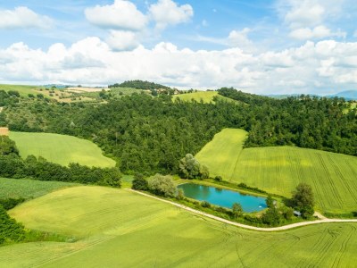 Cottage Mansion to Relax & Rejuvenate - Environment photo 32