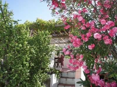 Holiday house Pomegranate House - Environment photo 38